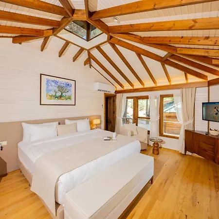 Kairos Valley Wellness & Longevity Datça