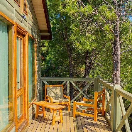 Kairos Valley Wellness & Longevity *