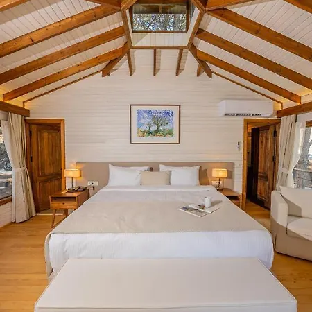 Kairos Valley Wellness & Longevity