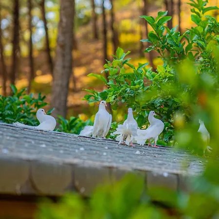 Hotel Kairos Valley Wellness & Longevity *