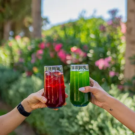 Kairos Valley Wellness & Longevity Hotel Datça