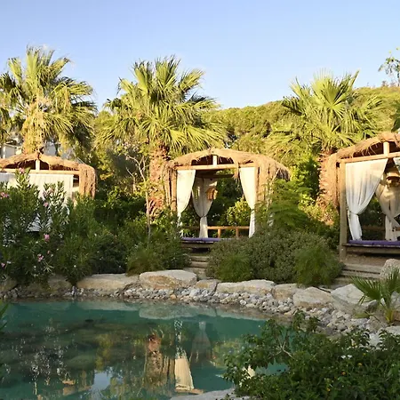 Otel Kairos Valley Wellness & Longevity Datça