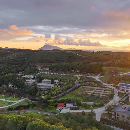 Kairos Valley Wellness & Longevity * Datça