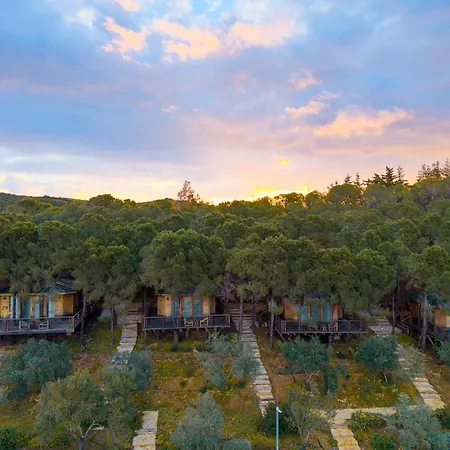 Kairos Valley Wellness & Longevity Hotel Datça