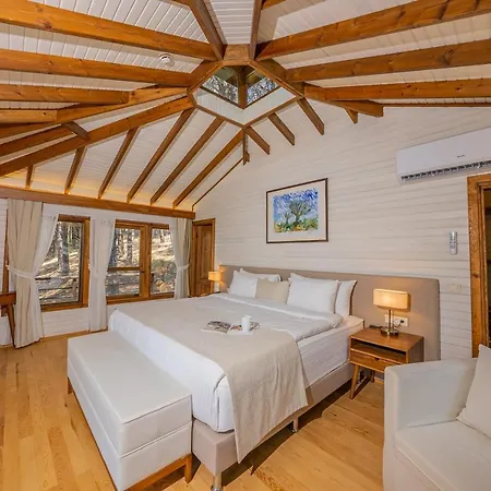 Kairos Valley Wellness & Longevity