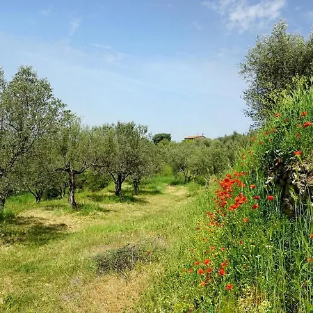 Hotel Kairos Valley Wellness & Longevity