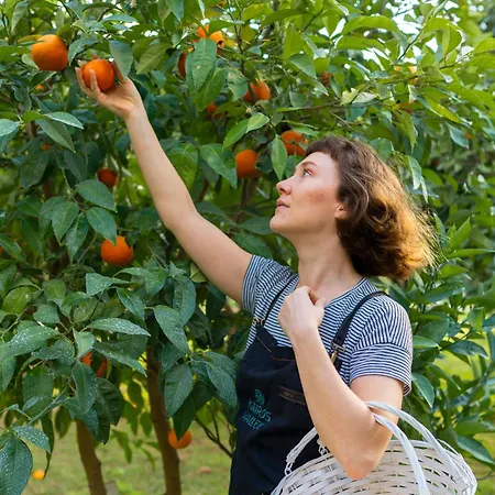 Kairos Valley Wellness & Longevity Ξενοδοχείο