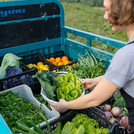 Kairos Valley Wellness & Longevity Ξενοδοχείο Datca