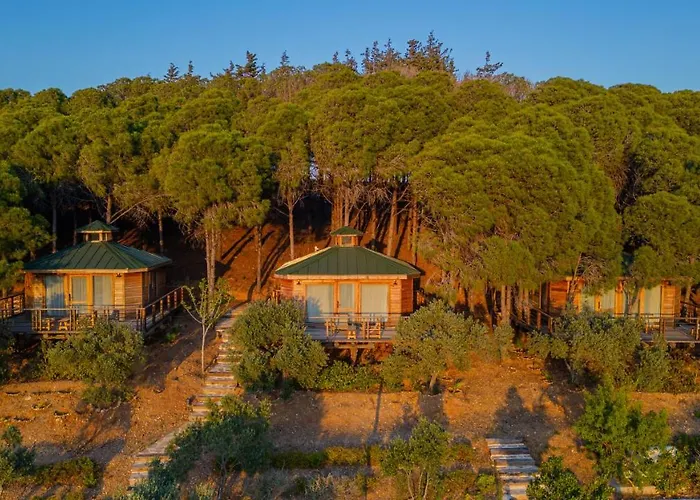 Kairos Valley Wellness & Longevity Hotell