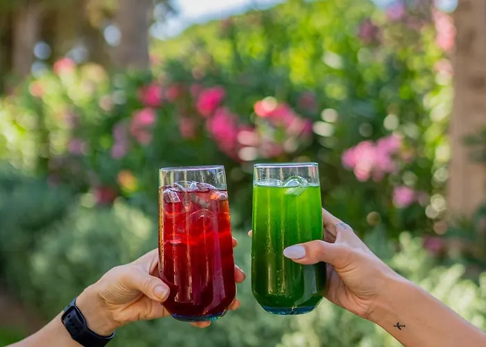 Kairos Valley Wellness & Longevity Hotell Datça