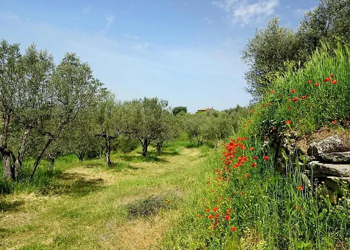 Hotell Kairos Valley Wellness & Longevity