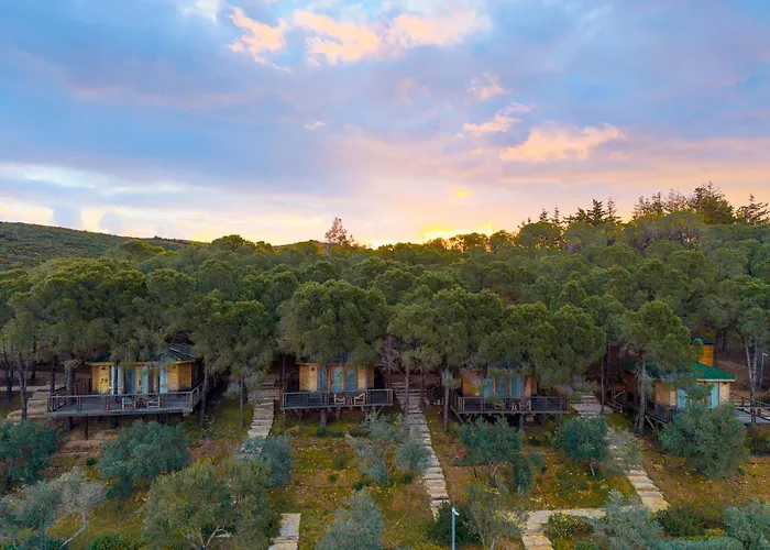 Kairos Valley Wellness & Longevity Hotell Datça